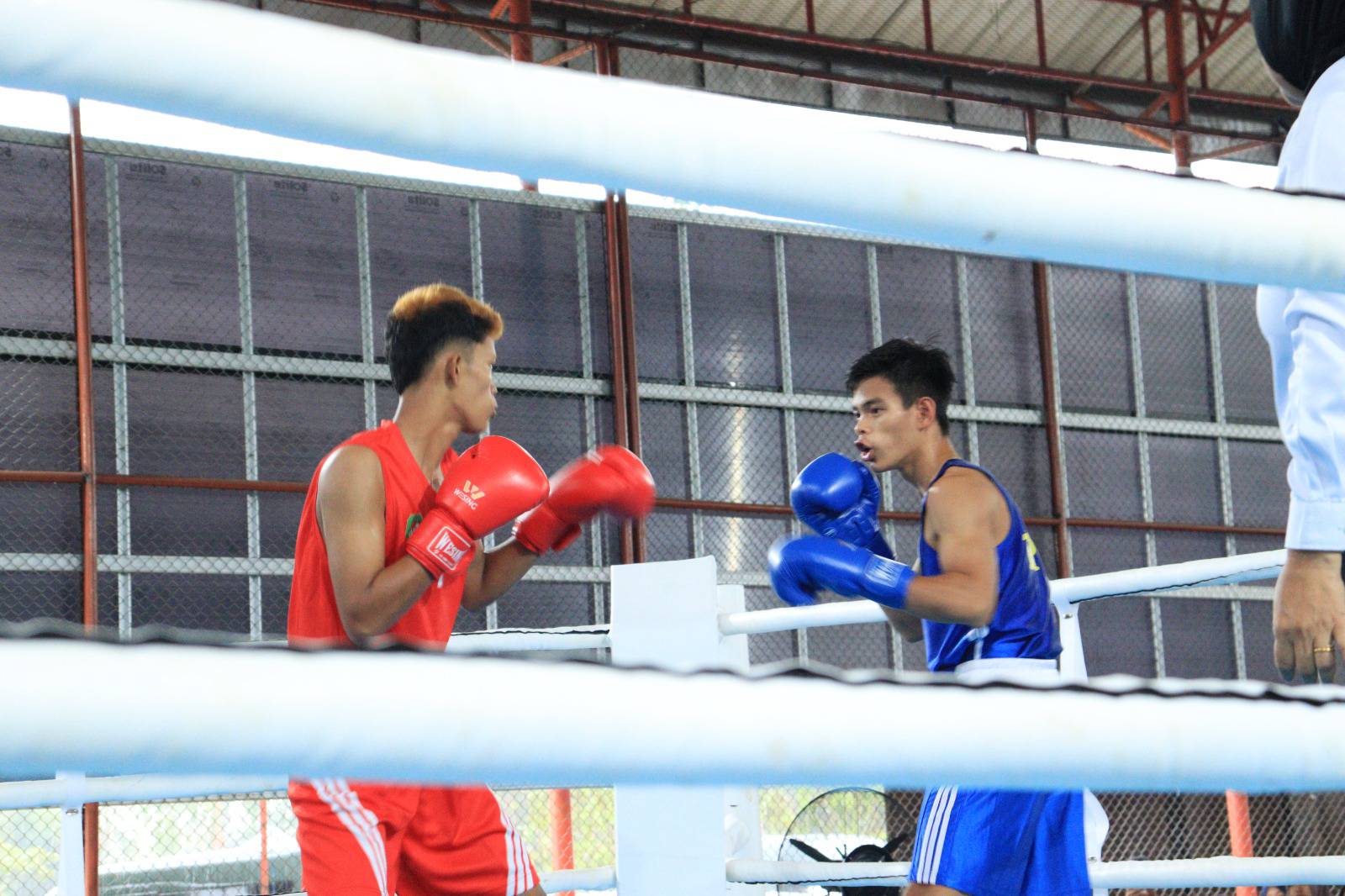 Petinju Tapin Berlaga di PORPROV Kalsel 2025 di Tanah Laut